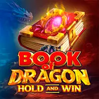Robocat – Book Of Dragon