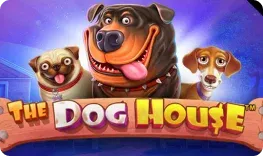 Robocat – The Dog House